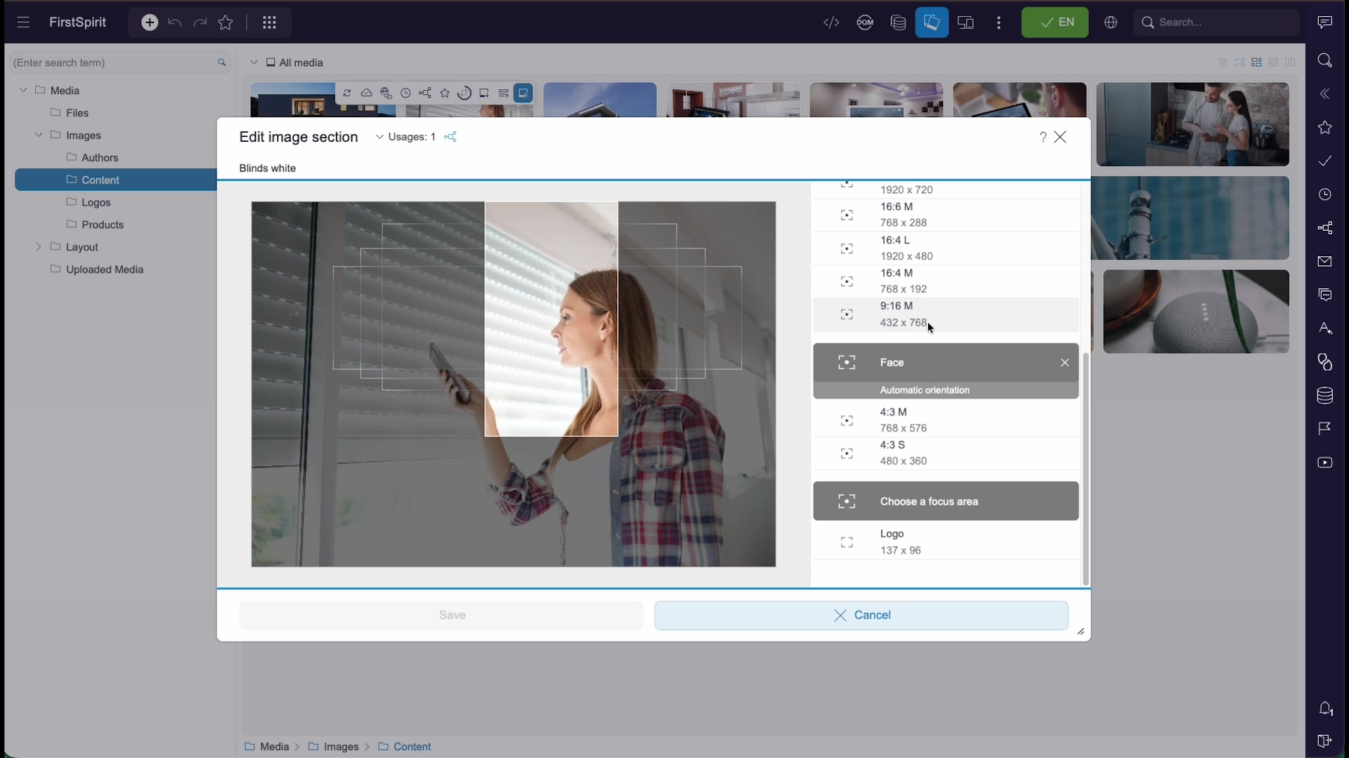 The Edit image section dialog showing an image, crop resolutions, and a focus area option
